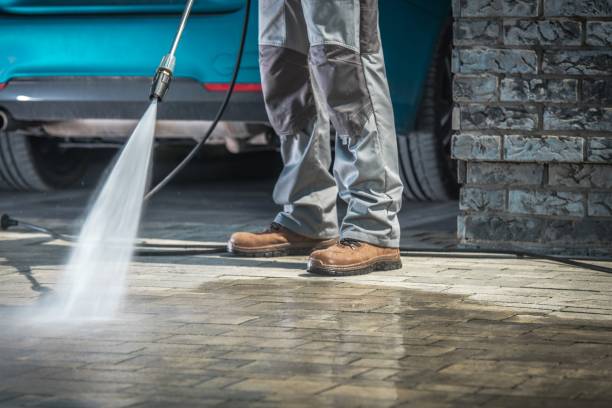 Best Gutter Cleaning  in Cicero, IN